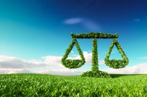environmental law grass scales of justice
