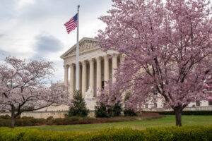Supreme Court and Cherry Blossoms